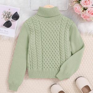 Chompa cuello cisne trenzado tejido cable