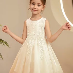 Vestido princesa albaricoque elegante detalle de encaje