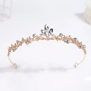 Corona de princesa pedrería plateado fondo dorado